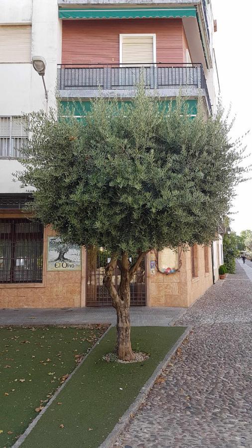 Fantastico Apartamento Junto A La Juderia Córdoba Exterior foto